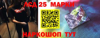 крисы Беслан