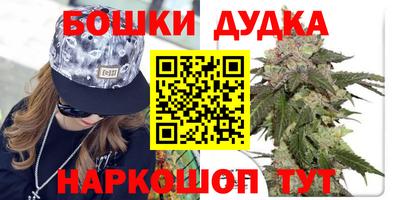 крисы Беслан