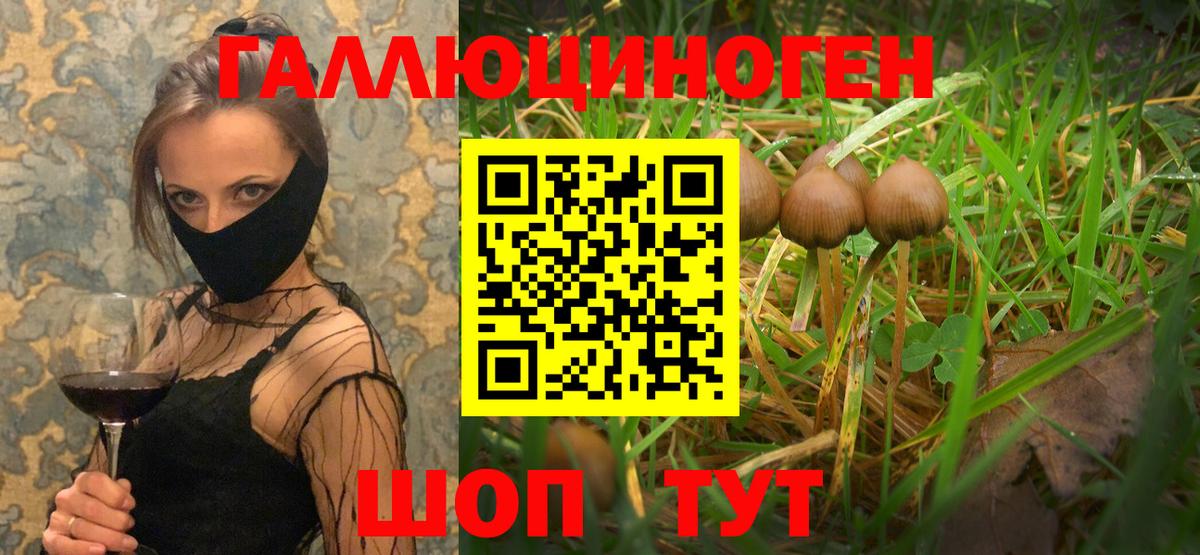 Псилоцибиновые грибы ЛСД Кирово-Чепецк